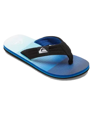 Boys Molokai Layback II Flip Flops in Blue, Blue & Blue