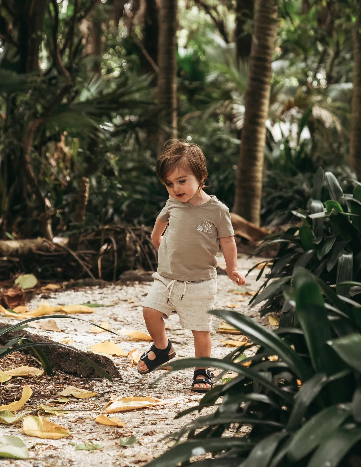 Ollie Boys Shorts - Sand Dune