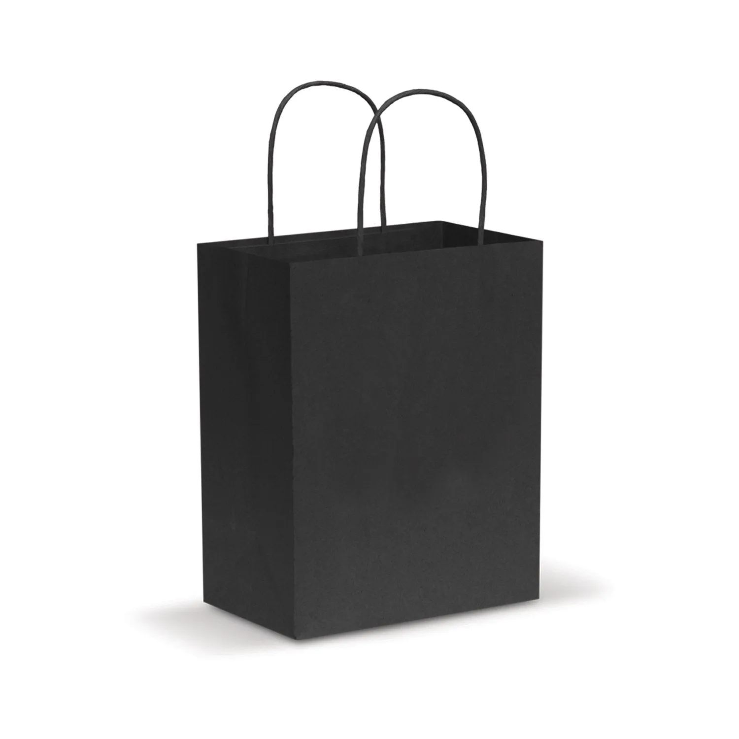 Paper Carry Bag - Medium 107586