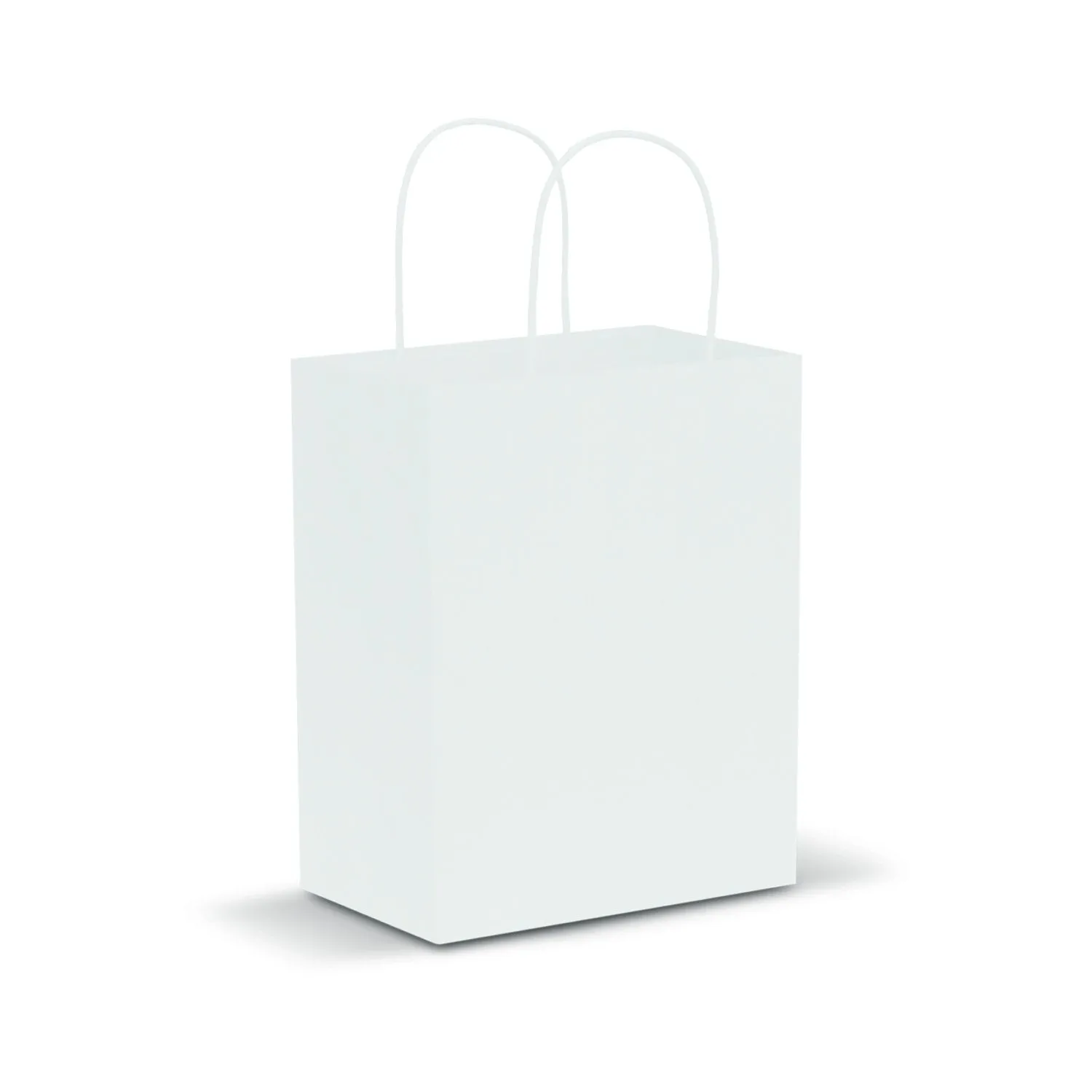 Paper Carry Bag - Medium 107586